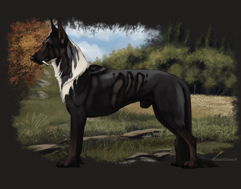 Liulfr Adopt #1 SOLD | For Sale