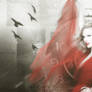 Taylor Swift - PSD Header.