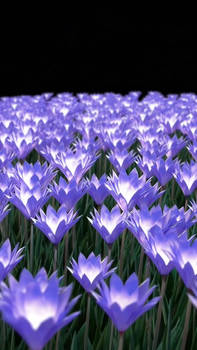 via Bing Video Creator-156