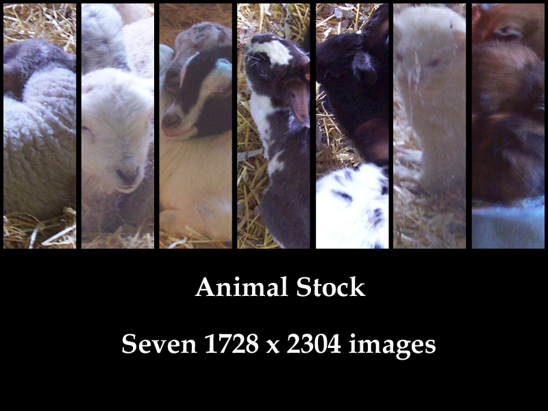 Animal Stock Pack