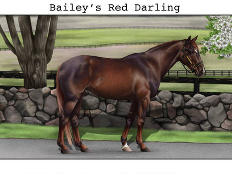 Bailey's Red Darling