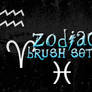 Zodiac Brushes