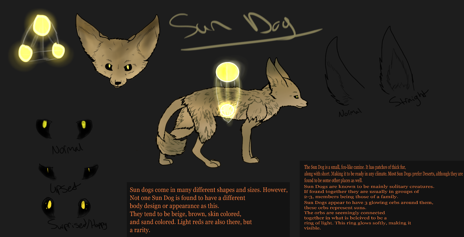 SUNDOG - species ref