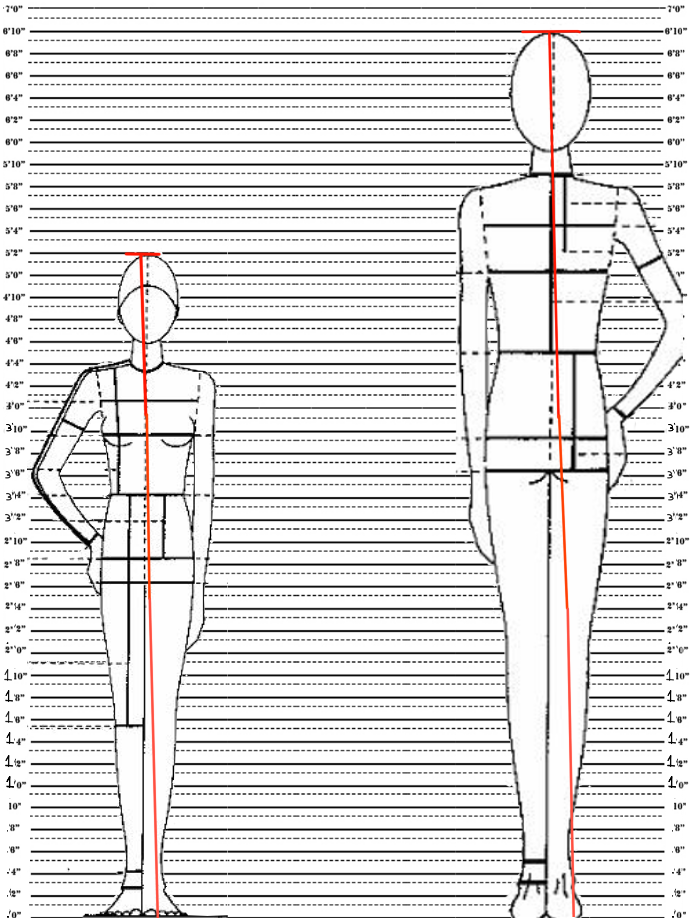 Human Height Scale Chart Forerunner Ancient Human.