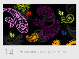 Mixed Sized Paisley Brushes