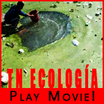 Short Film TN Ecologia