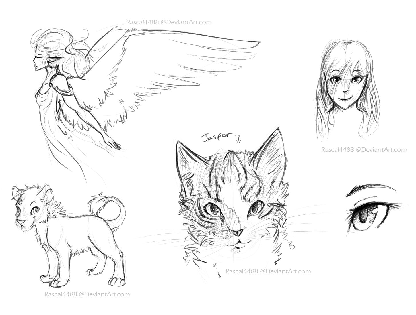 Practice Sketches by rascal4488 on DeviantArt