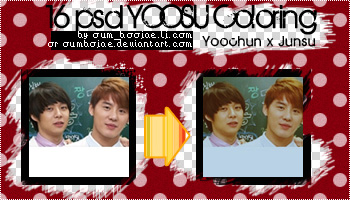 16 psd yoosu coloring