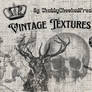 Vintage Aesthetic Textures by ChubbyCheekedFreak