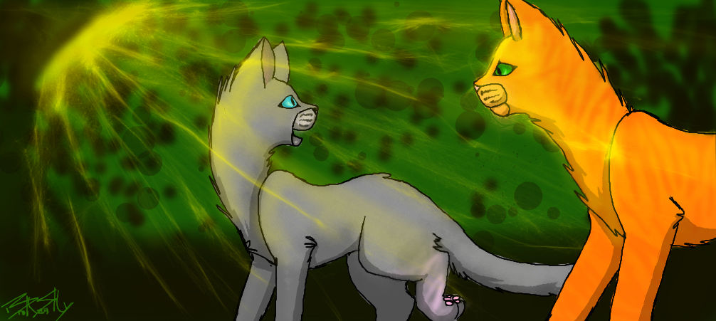 Firestar and Cinderpelt by XxBrokenSkyxX on DeviantArt