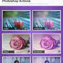 Purple Glow Photoshop Actions