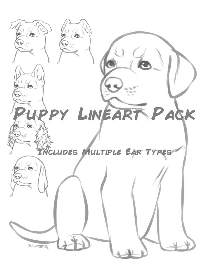 P2U Puppy Lineart Pack by ForgottenAmnesty on DeviantArt