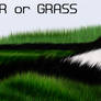 fur or grass