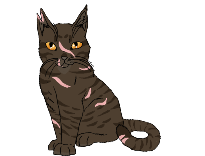 Tigerstar