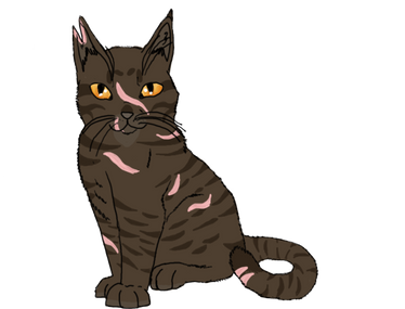 Tigerstar