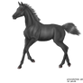 Simple Foal Greyscale/ lines- for sale