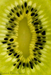 kiwi macro
