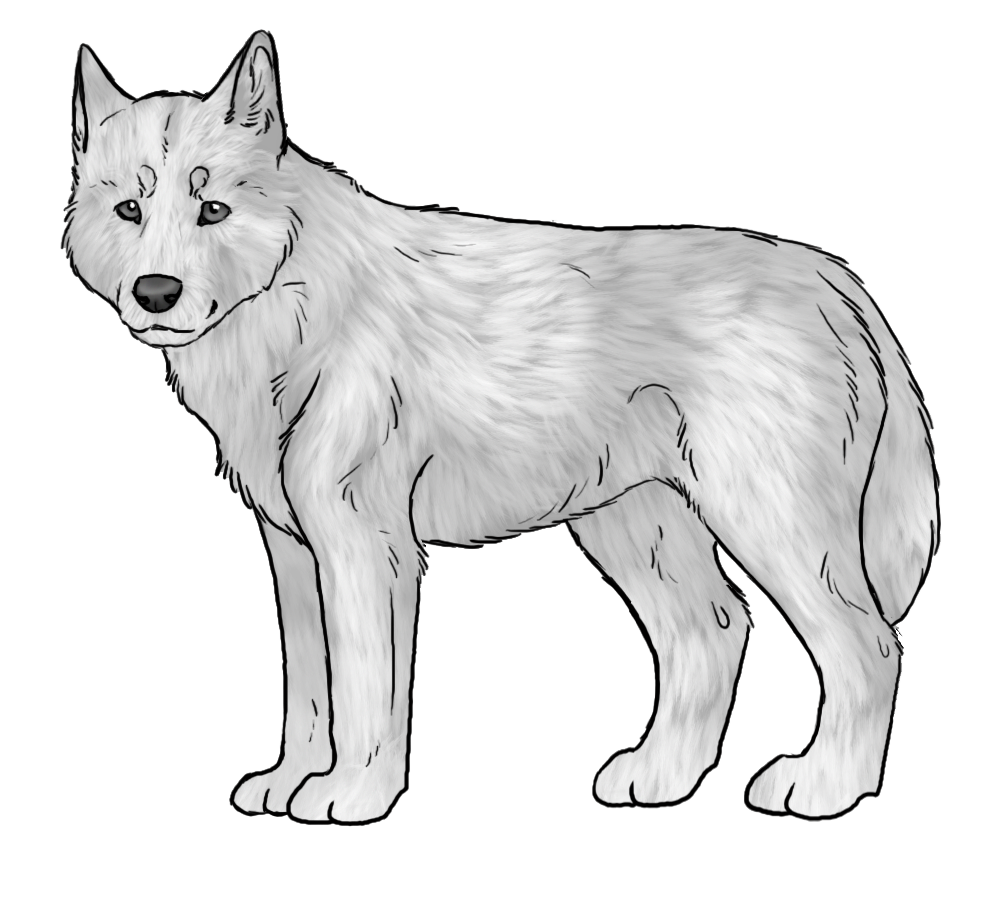 Free Alaskan Puppy lineart