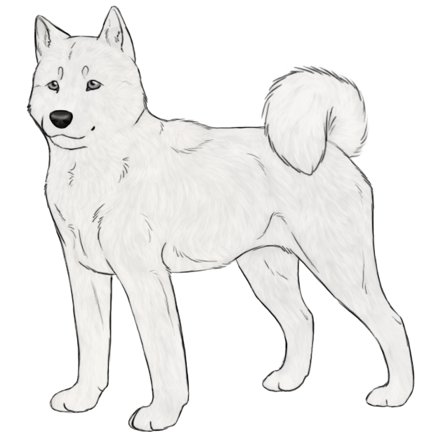 Free Shiba Inu Lineart