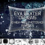 EVA BAXTER DESIGNS - 10 LARGE GRUNGE BRUSHES