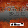 EVA BAXTER DESIGNS - 4 BORDER BRUSHES FOR PS