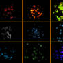 Halloween Bokeh Pack