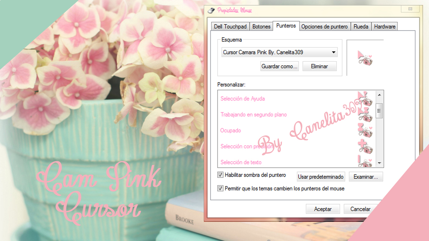 Cursor Camara Pink