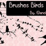 Brushes Birds By Canelita309