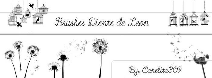 Brushes Diente de Leon By Canelita309