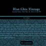 Blue Chic Vintage Skin