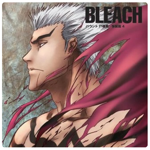Bleach 109 Jin Kariya (Folder Icon) by Saku434 on DeviantArt