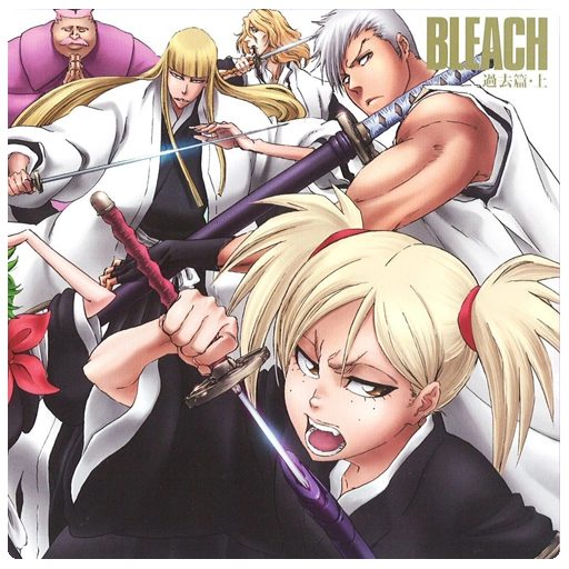 Bleach 133 - Turn Back the Pendulum (Folder Icon) by Saku434 on DeviantArt