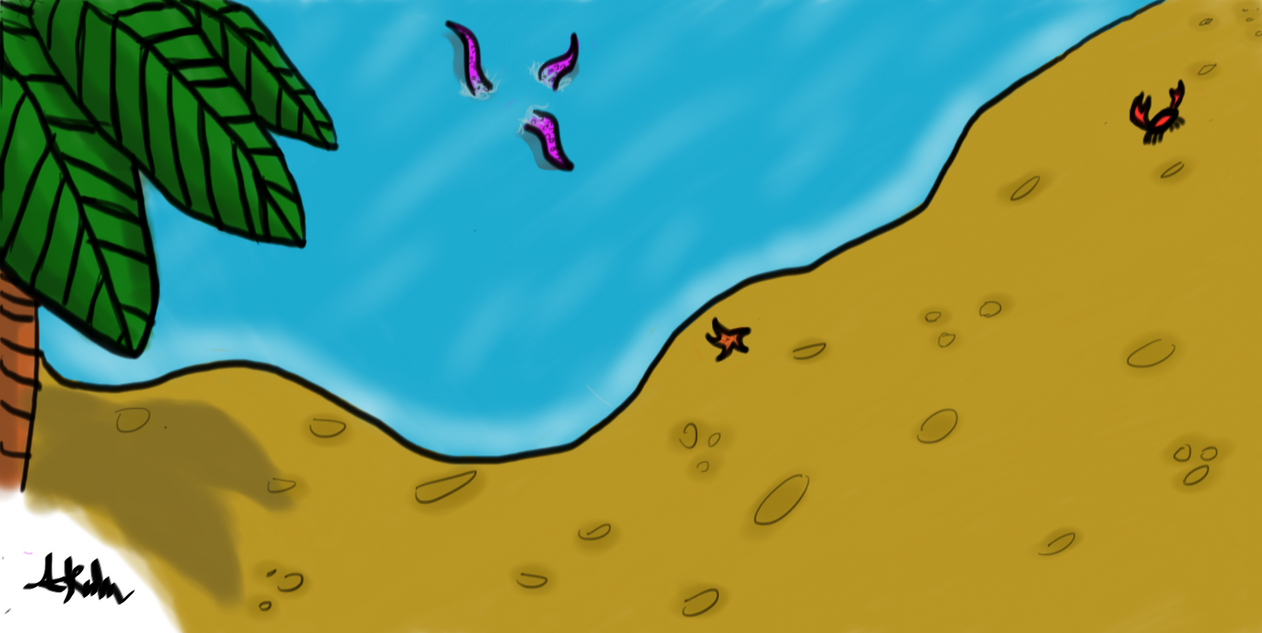 Tropical Beach by 0000803 on DeviantArt