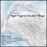 Angel Wings r Beautiful Things