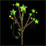 Star Tree - PSD