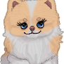 Pomeranian tag