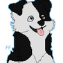 Aussie Pup Tag (ADDED RULES)