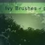 Ivy brushes part1 from black-B-o-x