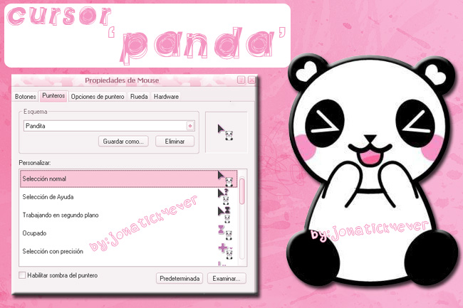 +Cursor Pandita