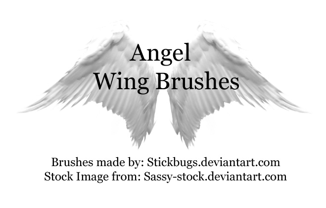 angel wing brushes.