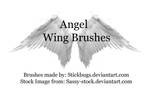 angel wing brushes.