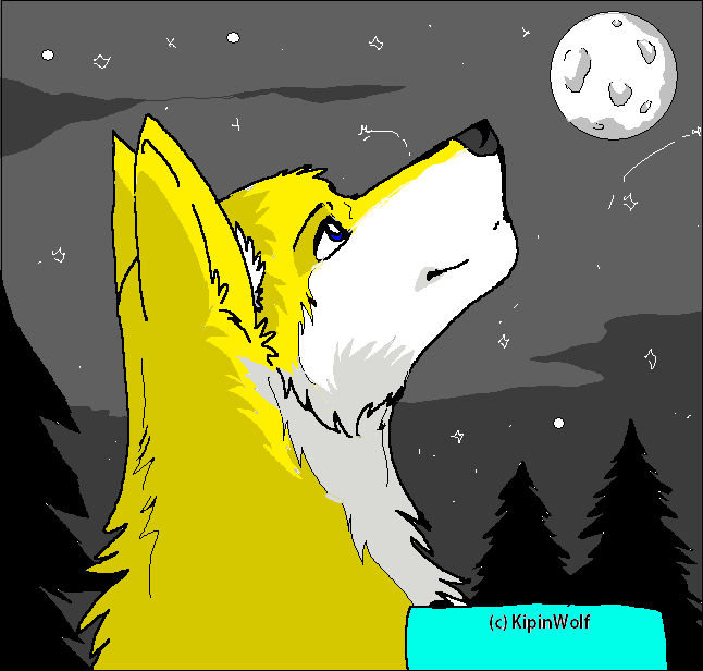 The Night Sky by Honeybug3 on DeviantArt