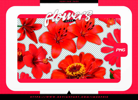 +flowers png pack . 001