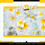 +flowers png pack . 002