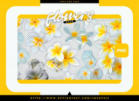 +flowers png pack . 002