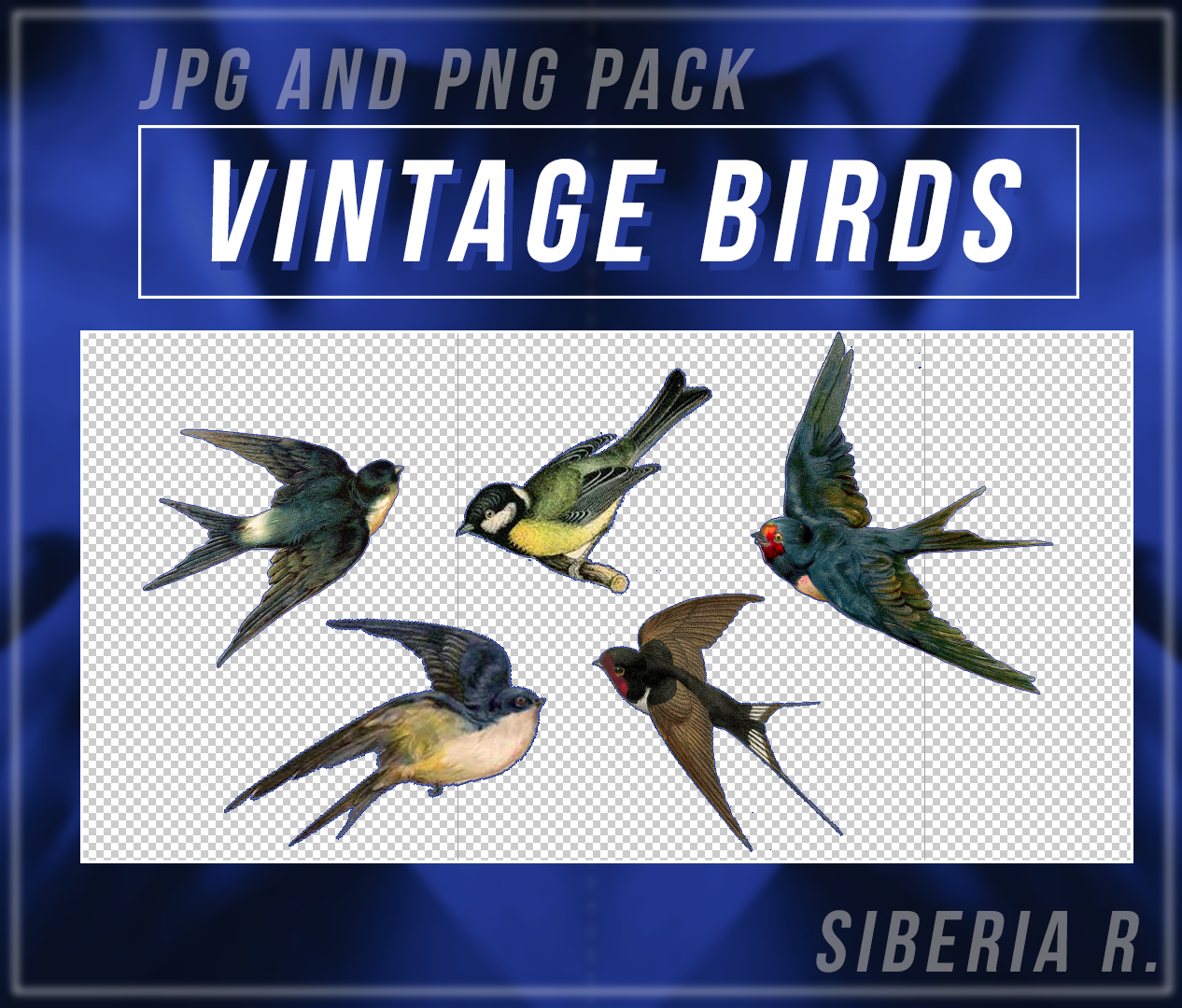 Vintage Birds Pack - JPG AND PNG. by SiberiaR