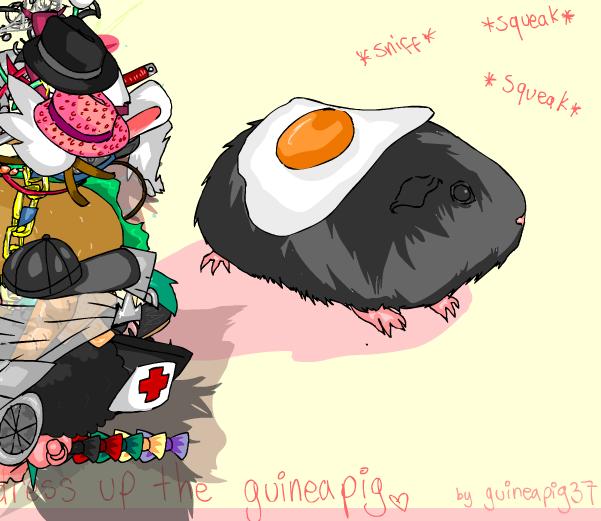 .: Dress Up The Guinea Pig :.