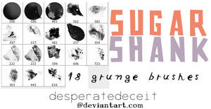 Sugar Shank Grunge Brushes CS4 by desperatedeceit