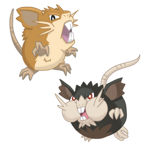 Raticate Pack