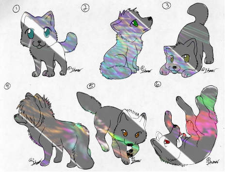 Adopts 255